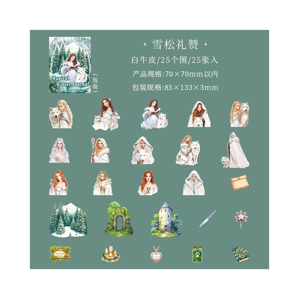 Magical Winter Diary Series PET Stickers 4 Styles 25 Pcs image 8