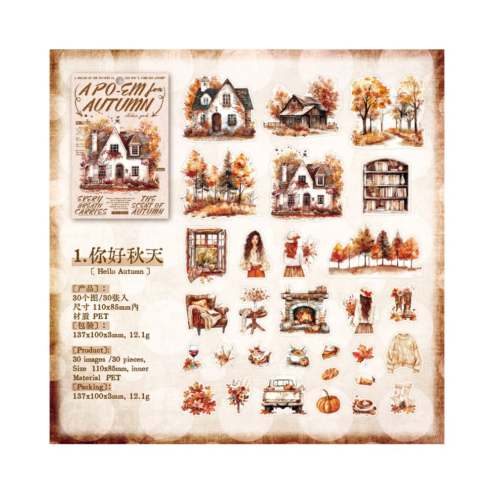 Autumn Series Retro PET Stickers 30 Pcs 6 Styles image 5