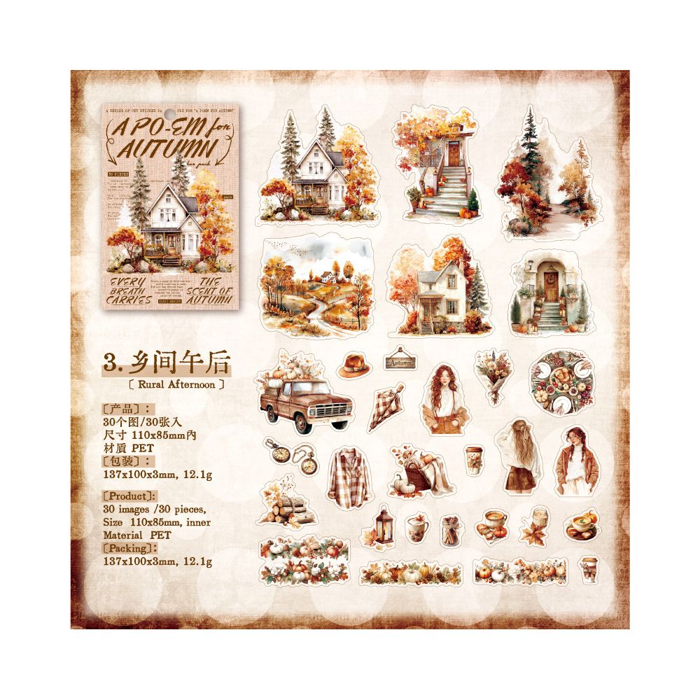 Autumn Series Retro PET Stickers 30 Pcs 6 Styles