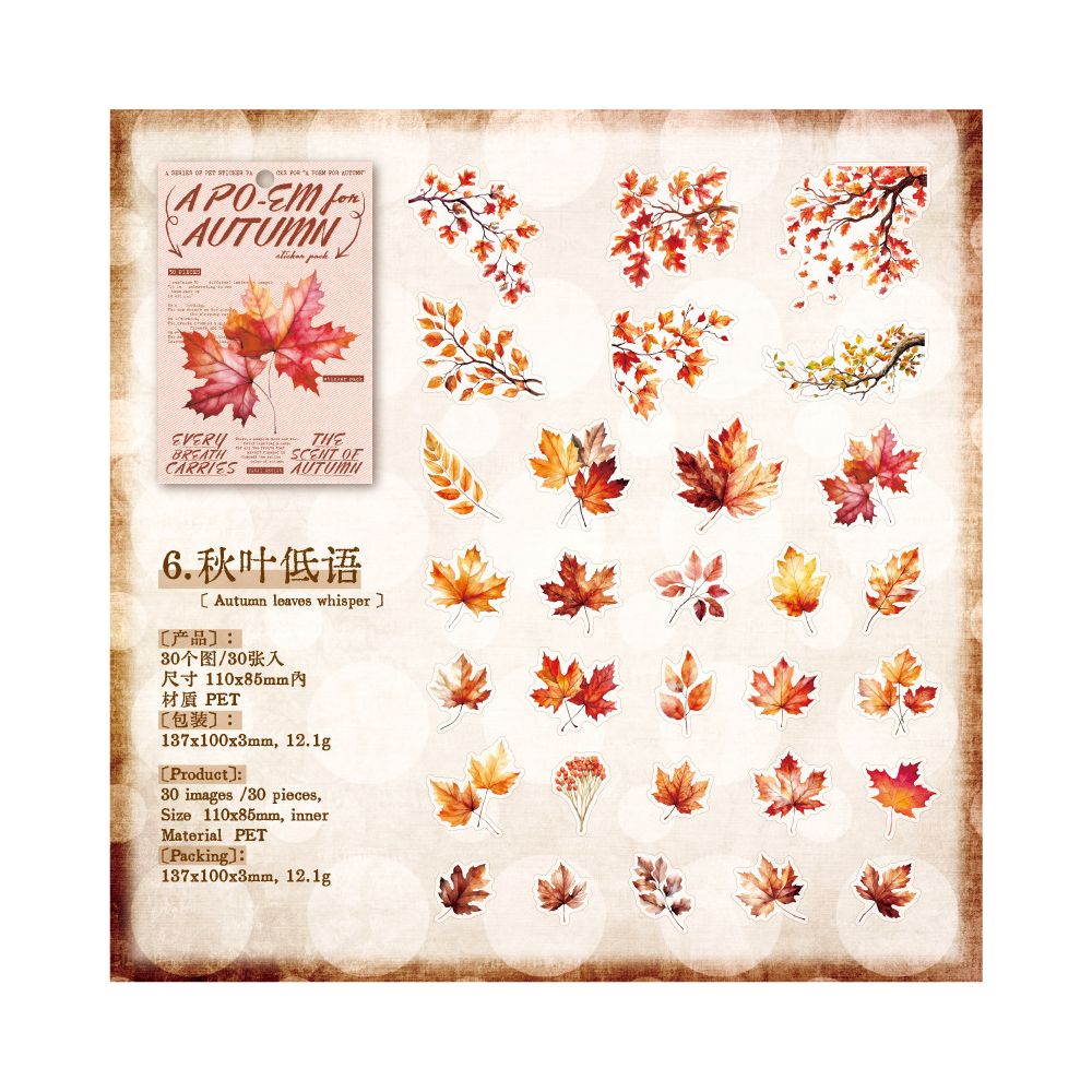 Autumn Series Retro PET Stickers 30 Pcs 6 Styles image 7