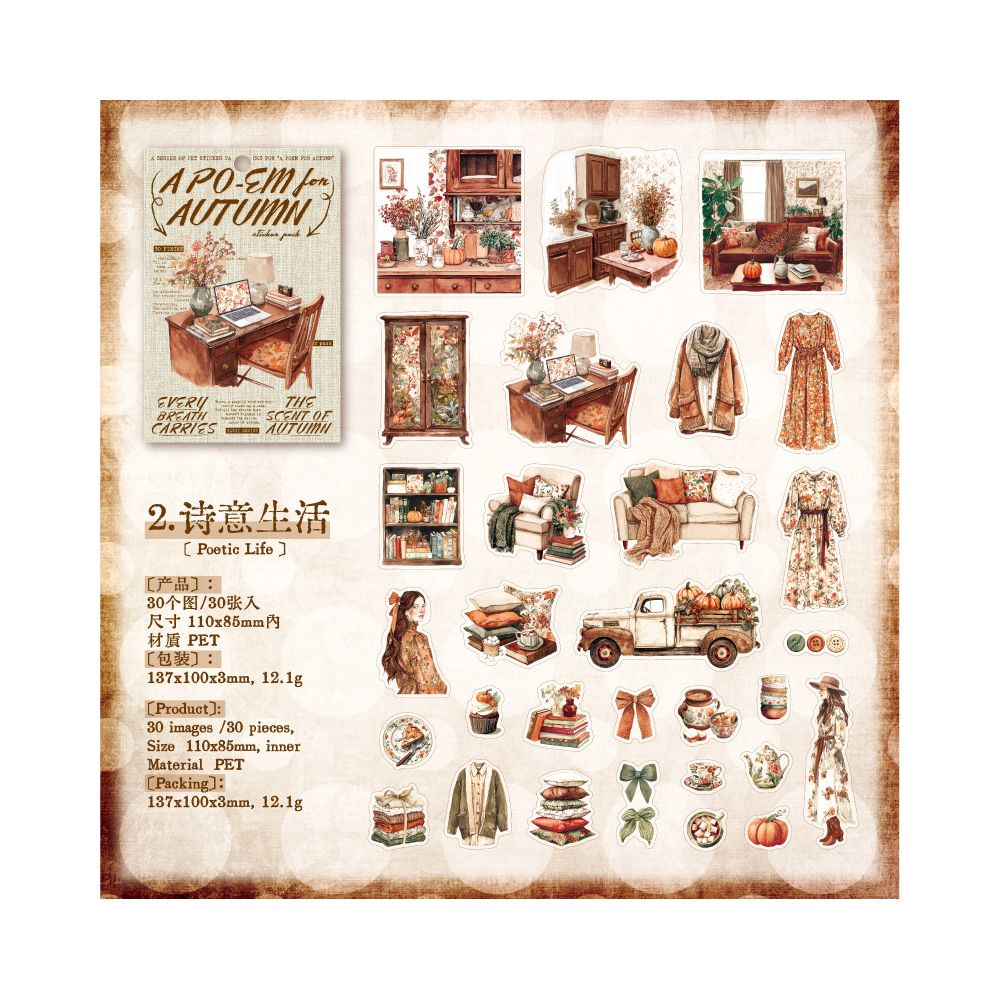 Autumn Series Retro PET Stickers 30 Pcs 6 Styles image 8