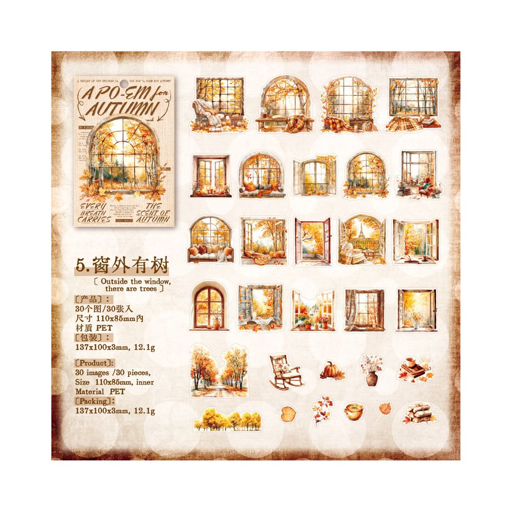 Autumn Series Retro PET Stickers 30 Pcs 6 Styles image 10
