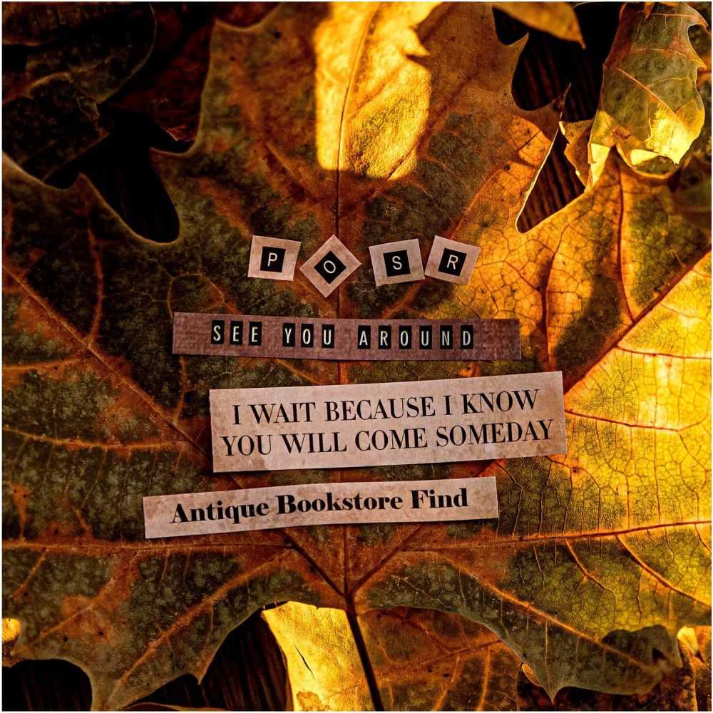 Time and Words series retro paper tape 6 designs 6cm 2m image 0