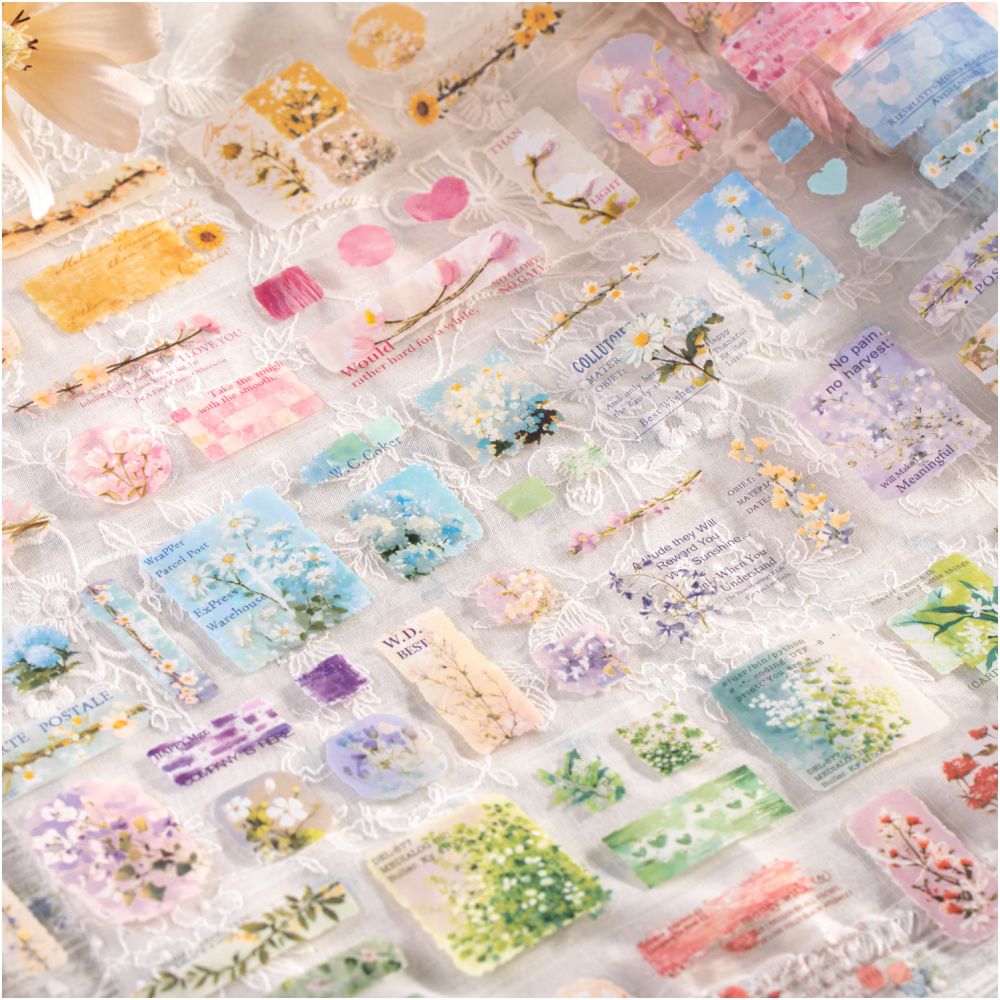 Floral Sketch Series Retro PET Tape 6 Designs 5cm x 2m image 2