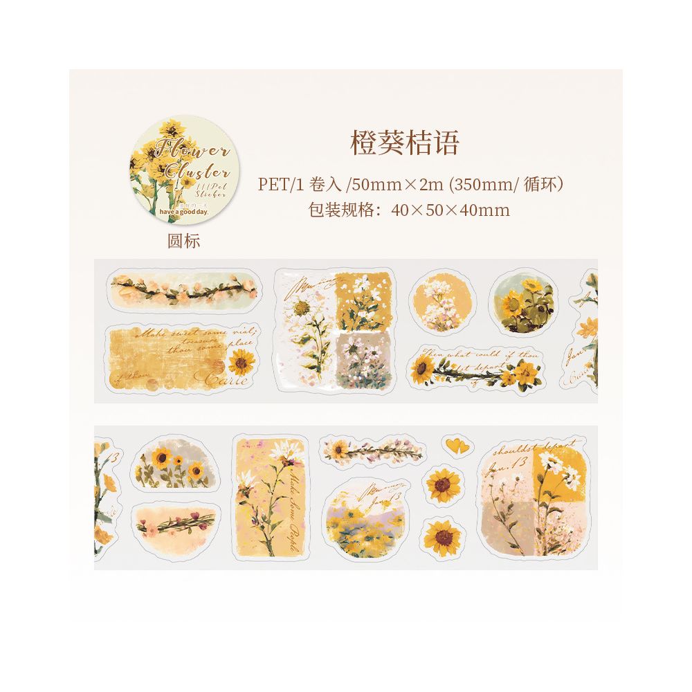 Floral Sketch Series Retro PET Tape 6 Designs 5cm x 2m image 6