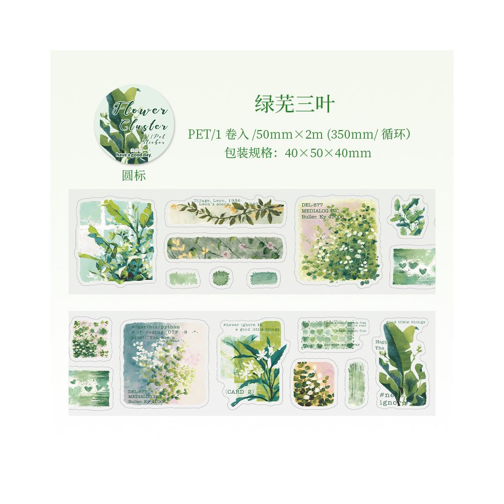 Floral Sketch Series Retro PET Tape 6 Designs 5cm x 2m image 9