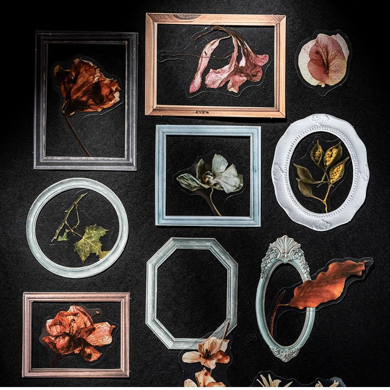 Frame Aesthetics Series PET and Paper Frame Set 20 Sheets 6 Styles image 1