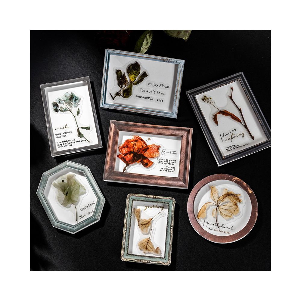 Frame Aesthetics Series PET and Paper Frame Set 20 Sheets 6 Styles image 3