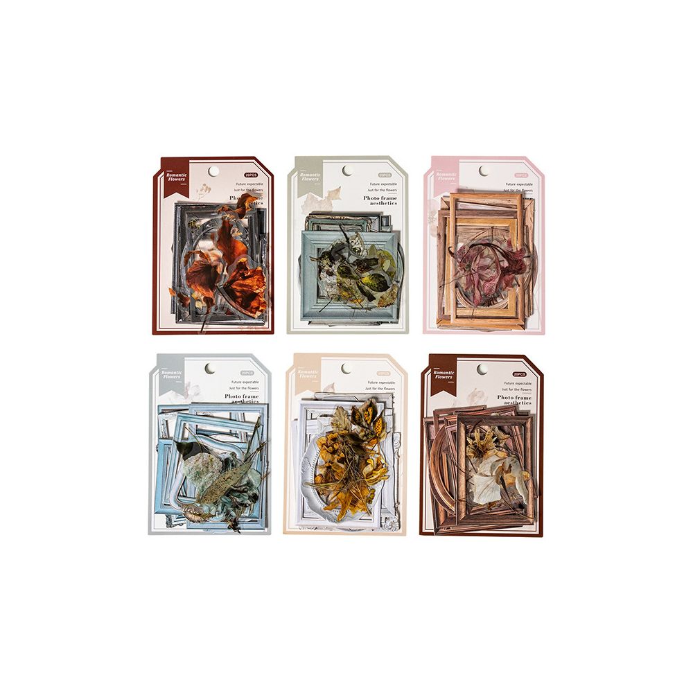 Frame Aesthetics Series PET and Paper Frame Set 20 Sheets 6 Styles image 4