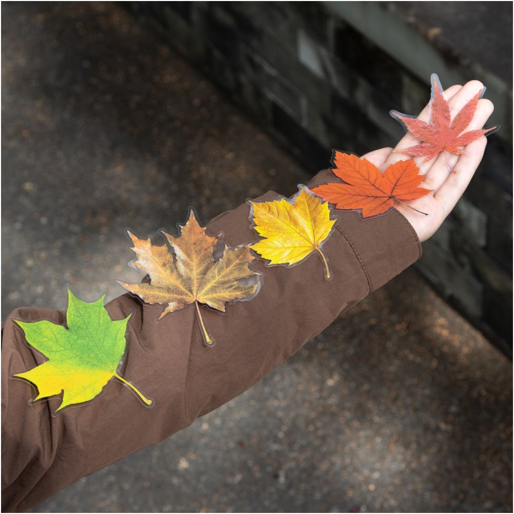 Maple Leaf Season Series PET Stickers 15 Sheets 4 Designs image 1
