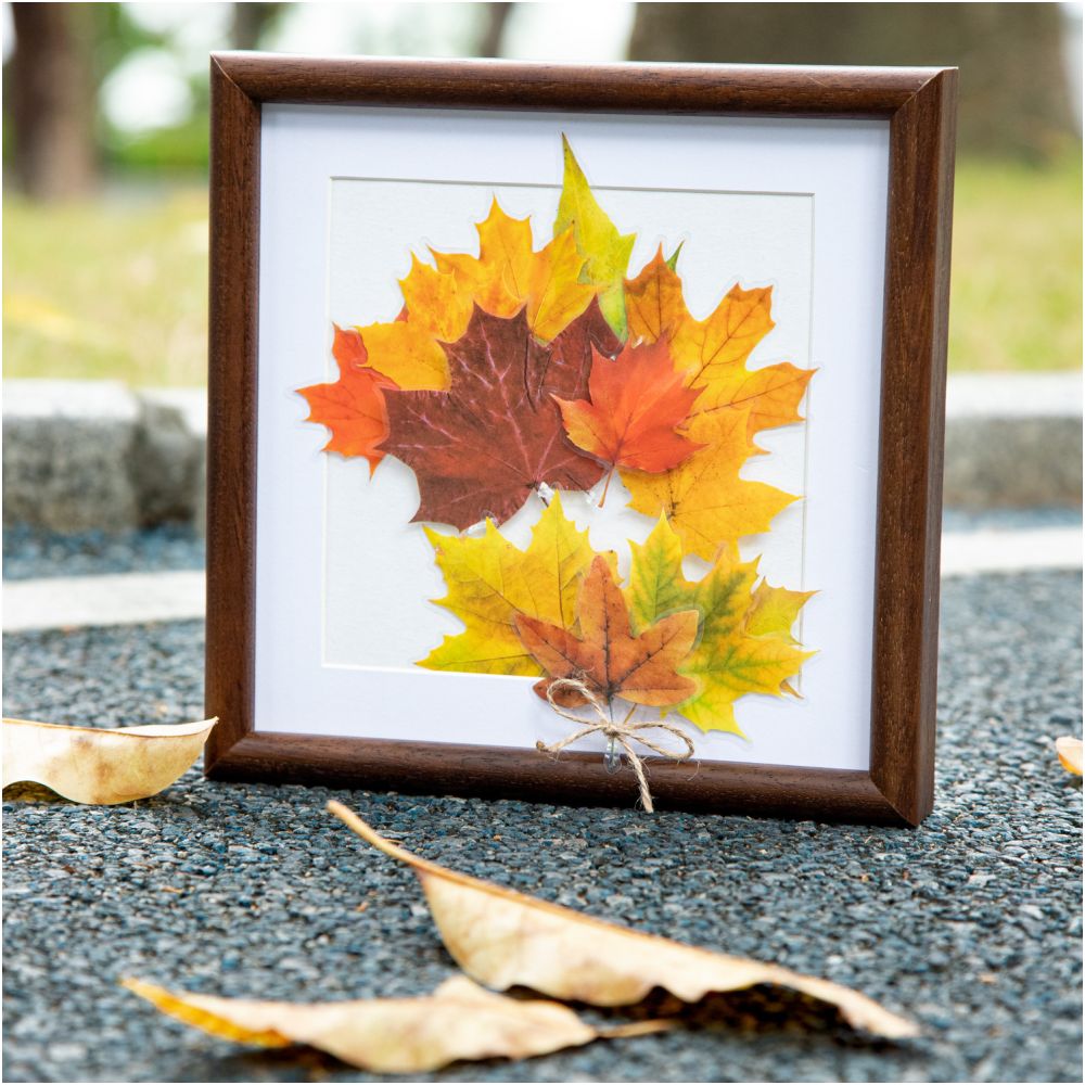 Maple Leaf Season Series PET Stickers 15 Sheets 4 Designs image 2