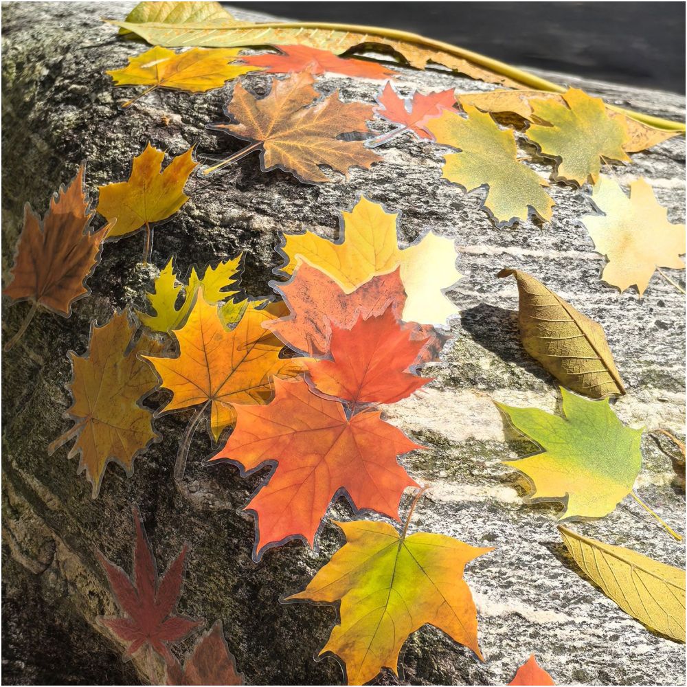 Maple Leaf Season Series PET Stickers 15 Sheets 4 Designs image 3