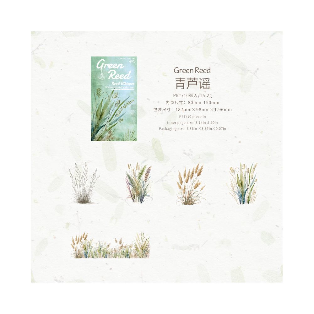 Reed Whispers Series PET Stickers 10 Sheets 4 Styles image 8