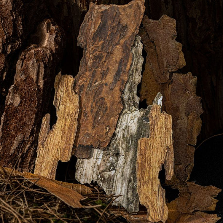 Natural Landscape Paper Stickers 4 Styles 20 Pcs image 1