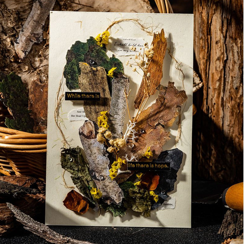 Natural Landscape Paper Stickers 4 Styles 20 Pcs image 3