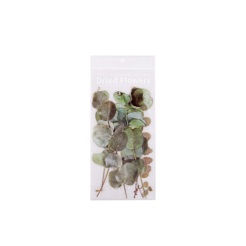 Large PET Flower Stickers for Scrapbooking - ViktaShop