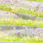 Ancient style grass PET tape 6 cm / 1 m