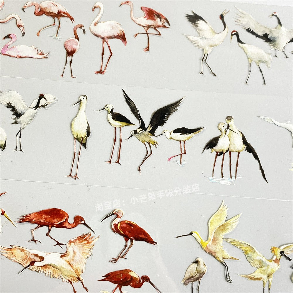 Red Black White Yellow Bird Ancient Style PET tape - ViktaShop