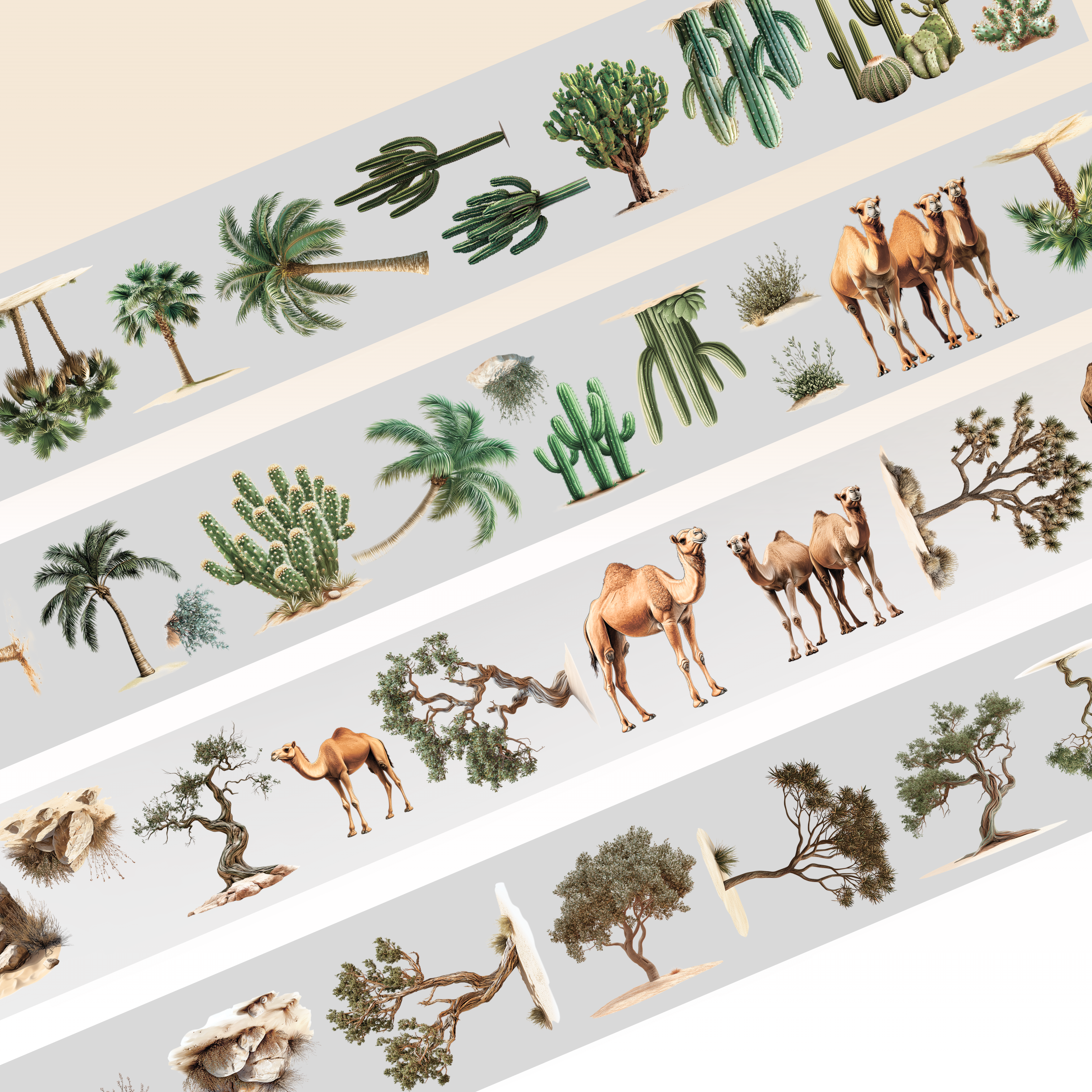 Desert plants and camels PET tape 8cm x 2.5m - Viktashop.com