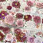 New seven days, flowers, ancient style PET tape  6 cm / 1m