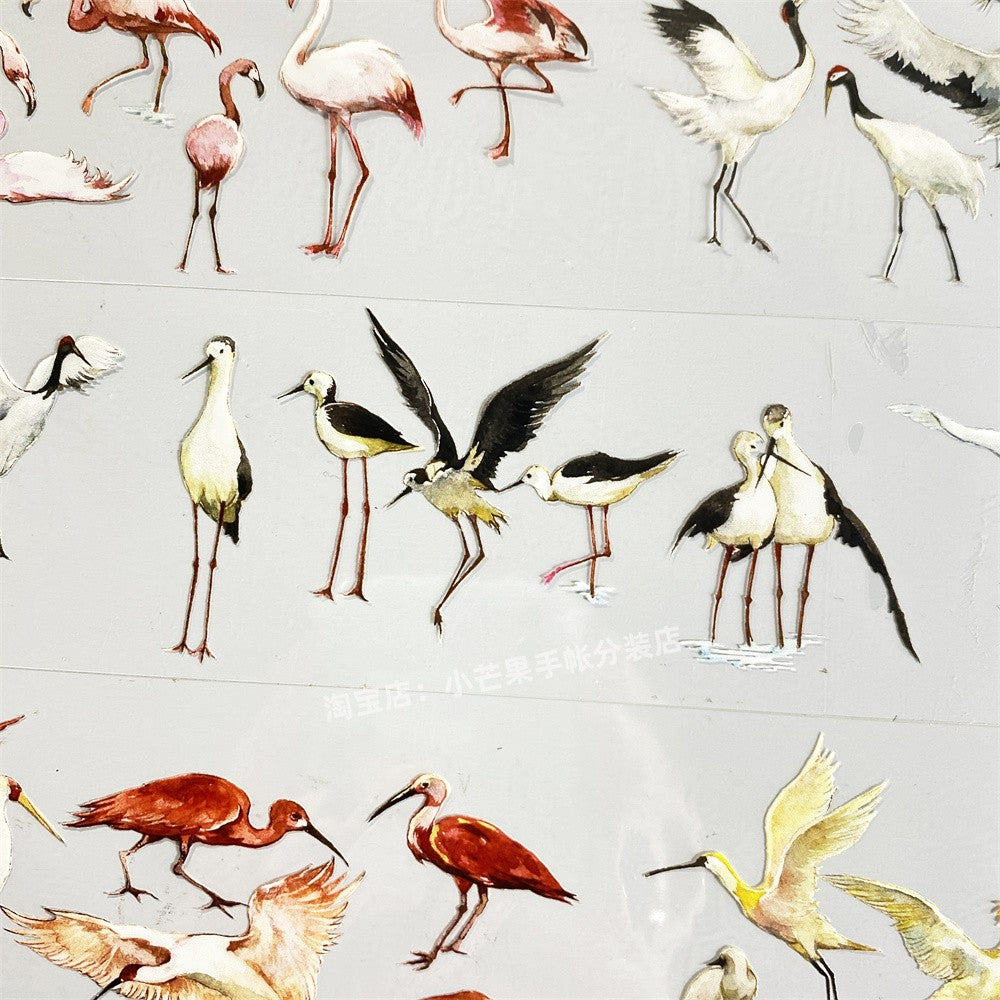 Red Black White Yellow Bird Ancient Style PET tape - ViktaShop
