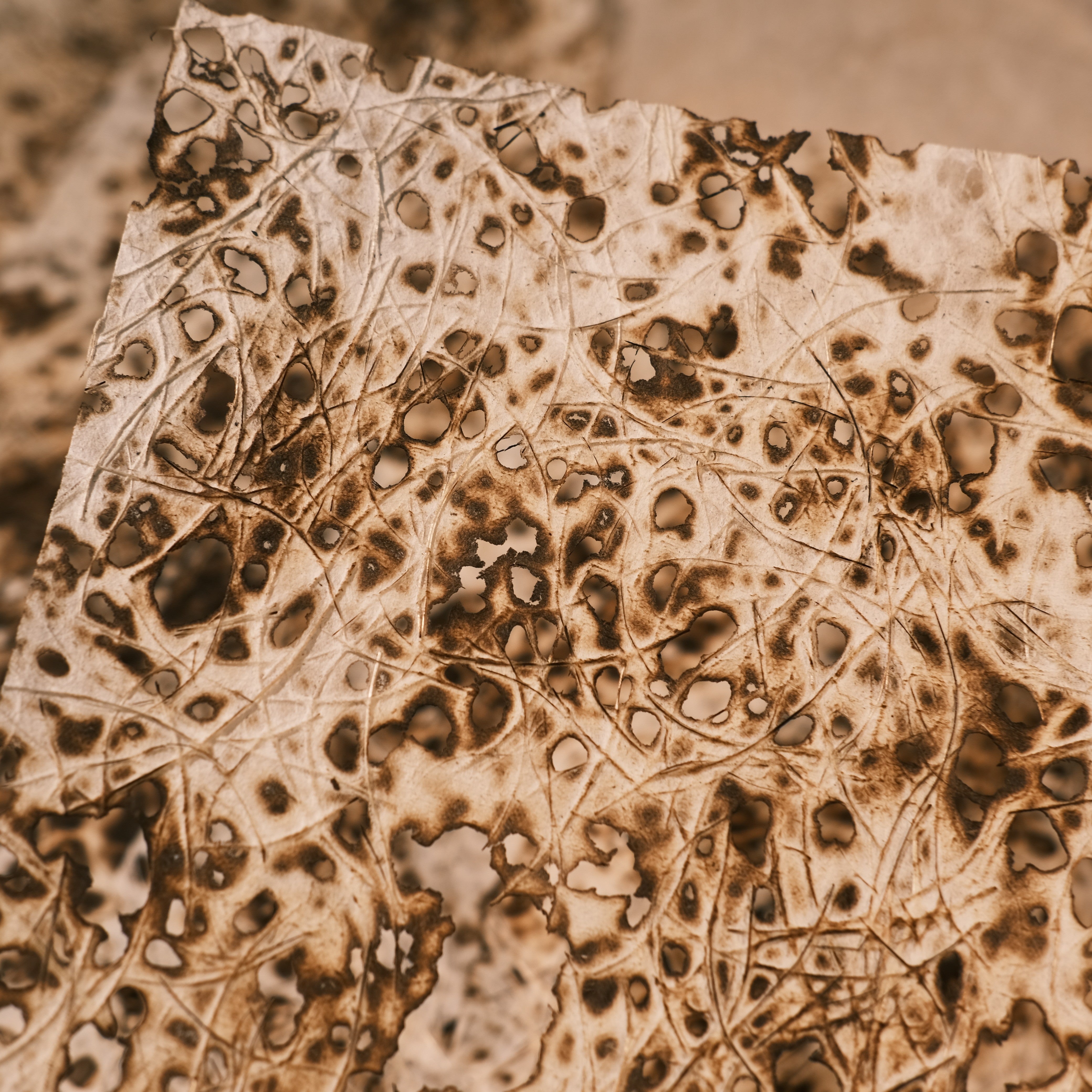 Handmade edge burning water paper 16 cm / 24 cm 3 sheets - ViktaShop