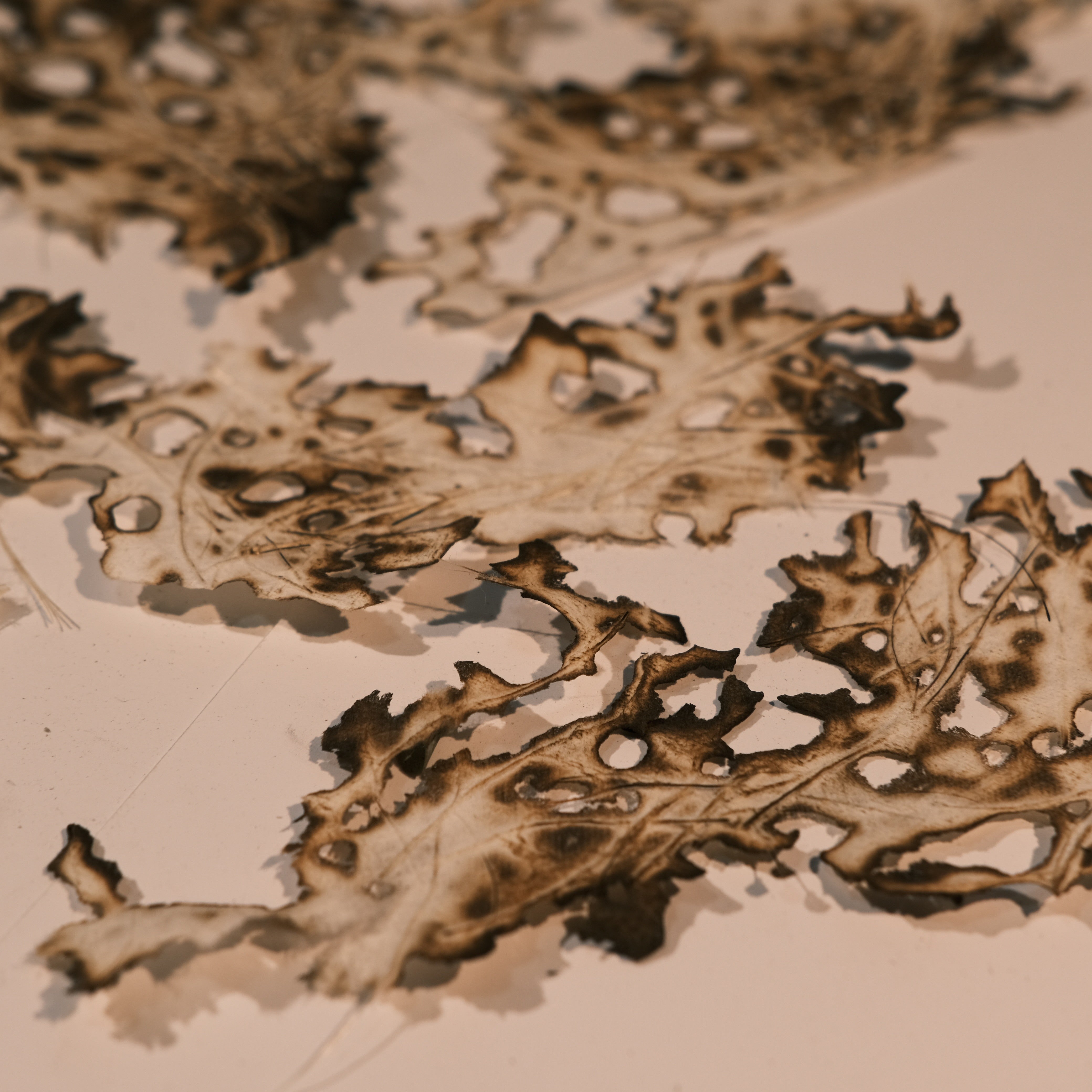 Handmade edge burning water paper 16 cm / 24 cm 3 sheets - ViktaShop