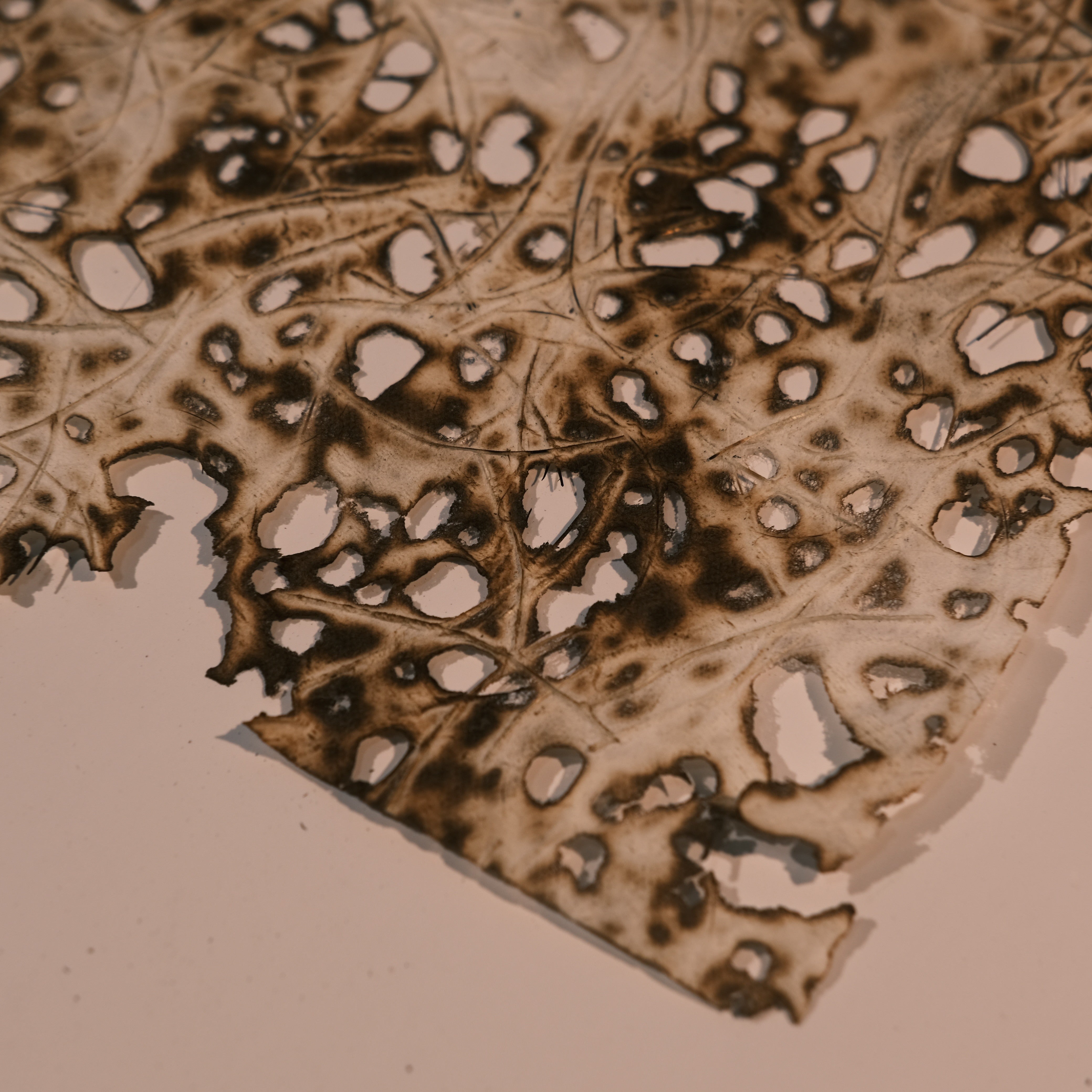 Handmade edge burning water paper 16 cm / 24 cm 3 sheets - ViktaShop