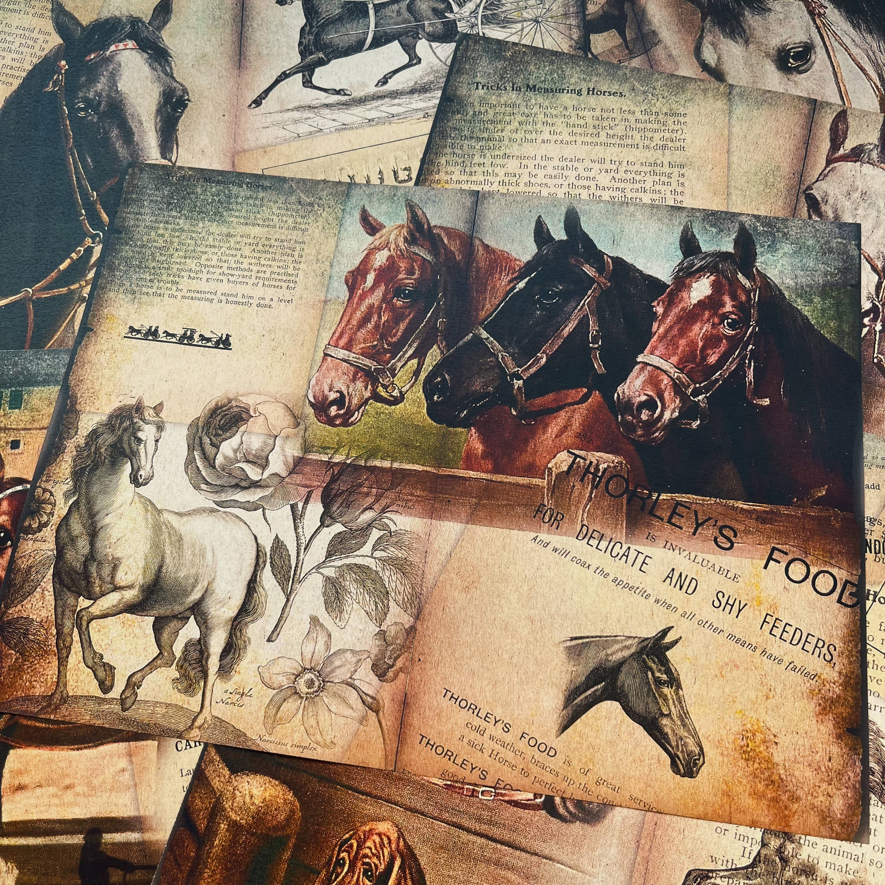 Retro Farm Horse Background Vintage Paper A4 6 sheets - ViktaShop