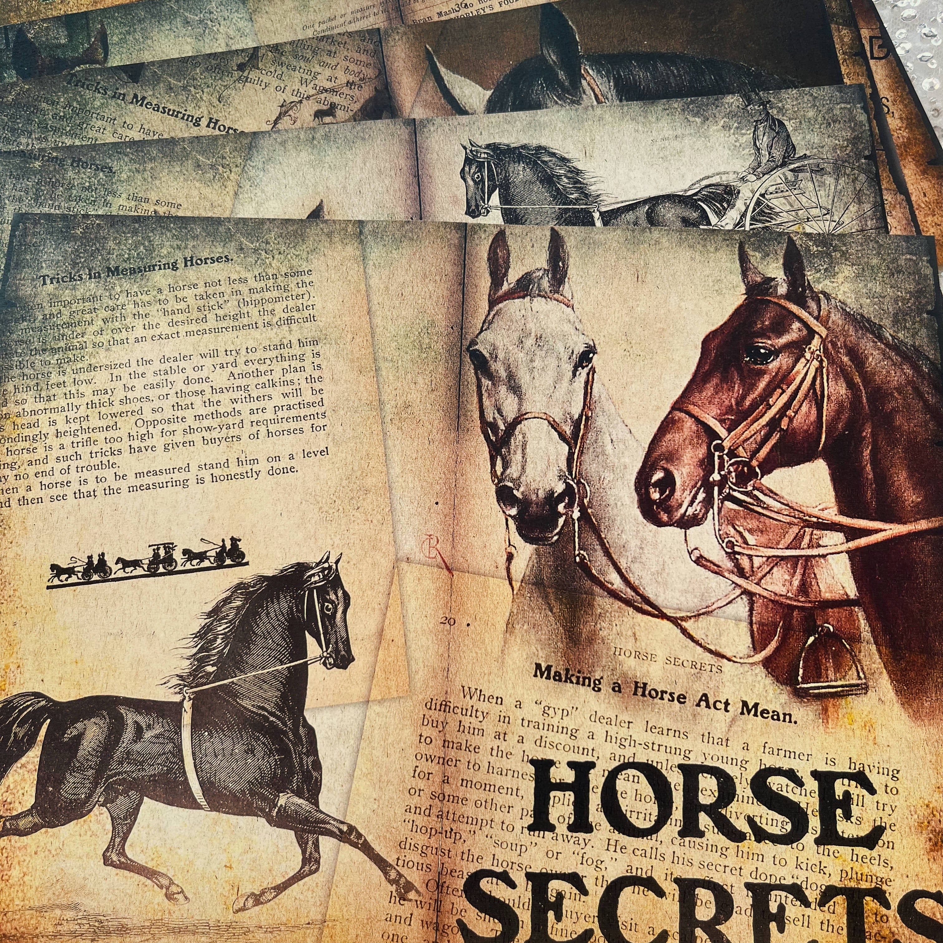 Retro Farm Horse Background Vintage Paper A4 6 sheets - ViktaShop