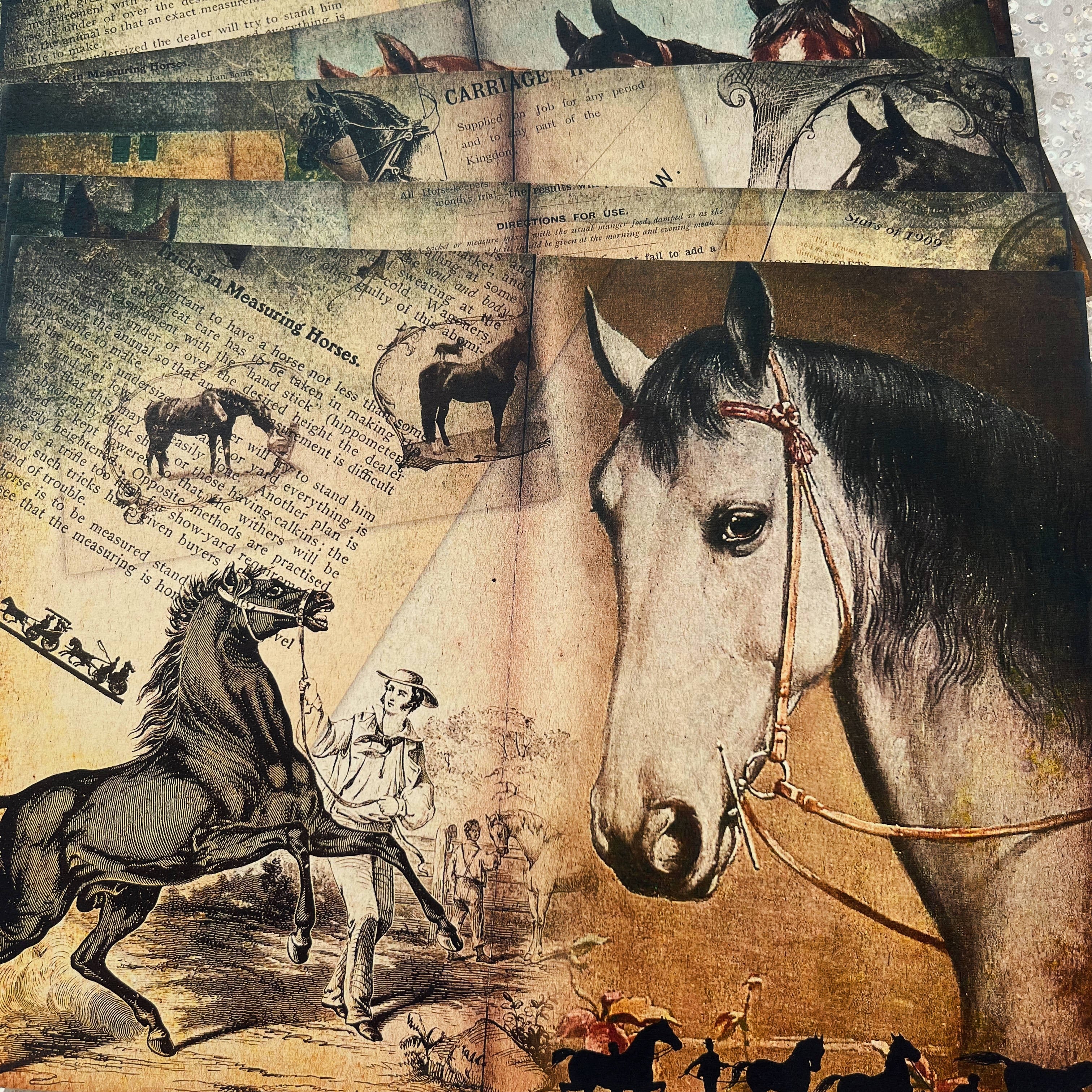 Retro Farm Horse Background Vintage Paper A4 6 sheets - ViktaShop