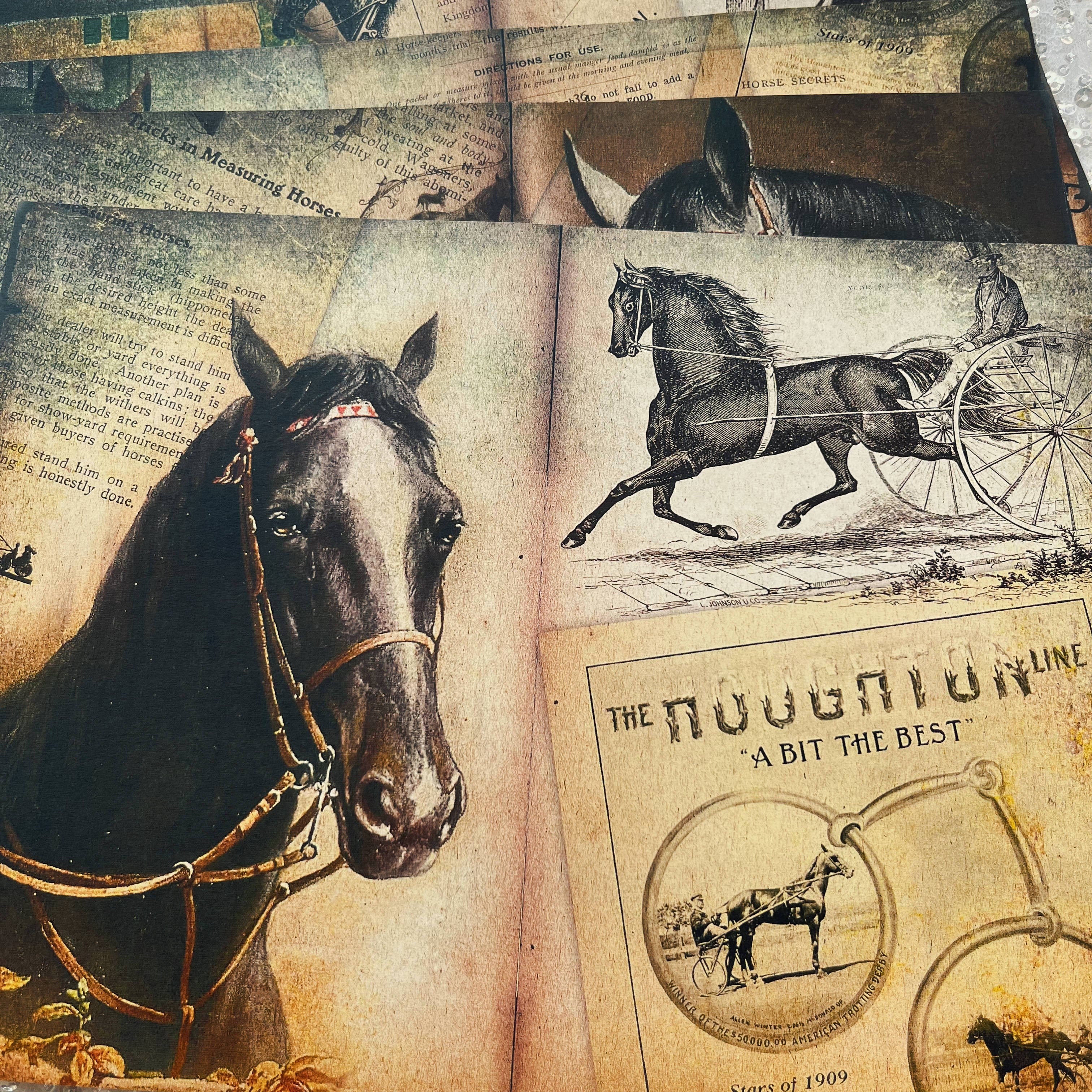Retro Farm Horse Background Vintage Paper A4 6 sheets - ViktaShop