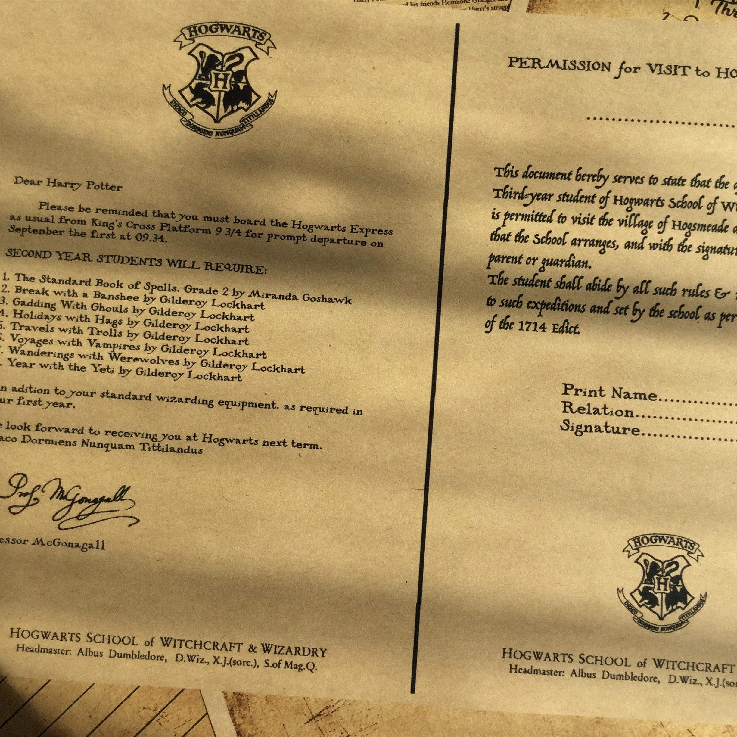 Harry Potter Hogwarts Vintage paper A5 8 Sheets - ViktaShop