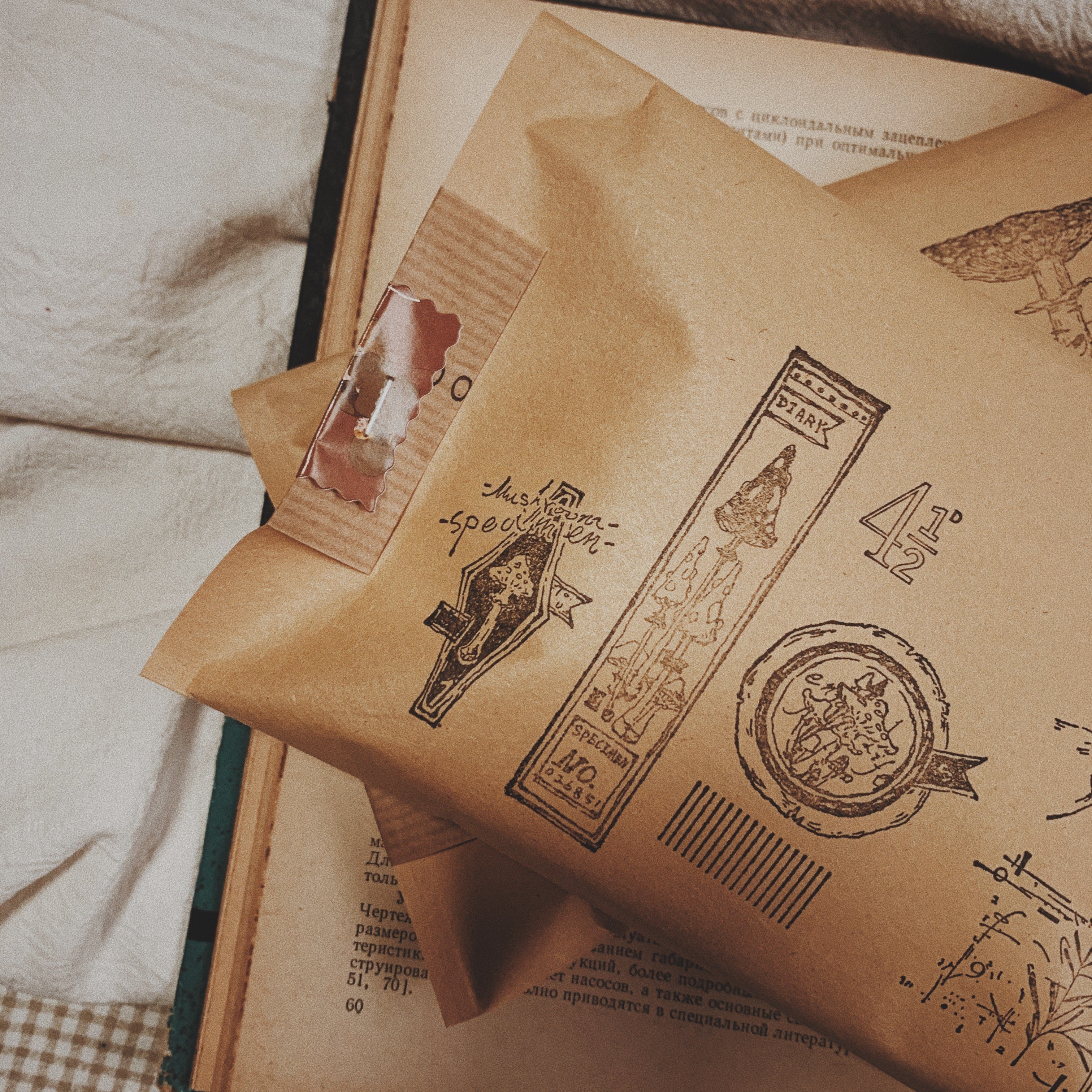 Postal Mirror Handbill with Complex Patterns Vintage Material Pack - ViktaShop