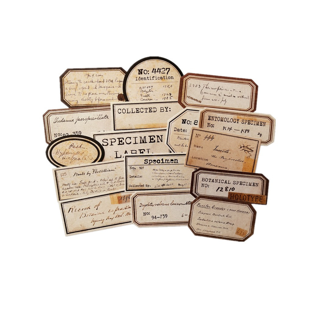 Retro plant label decorative stickers - ViktaShop