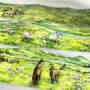 Grassland horse ancient style PET tape 5,5 cm / 1 m
