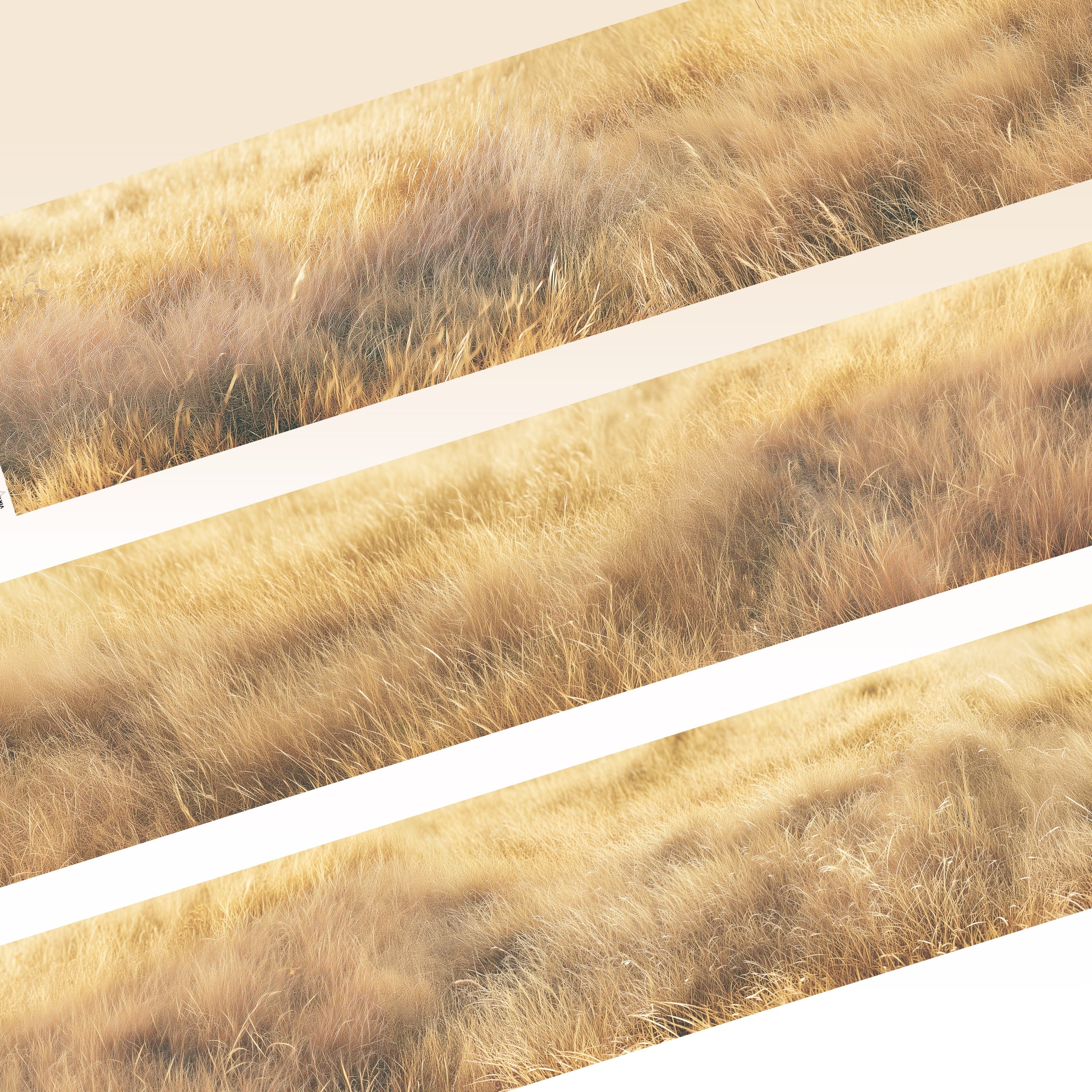 Viktashop Autumn grass PET Tape 7cm x 1m - ViktaShop