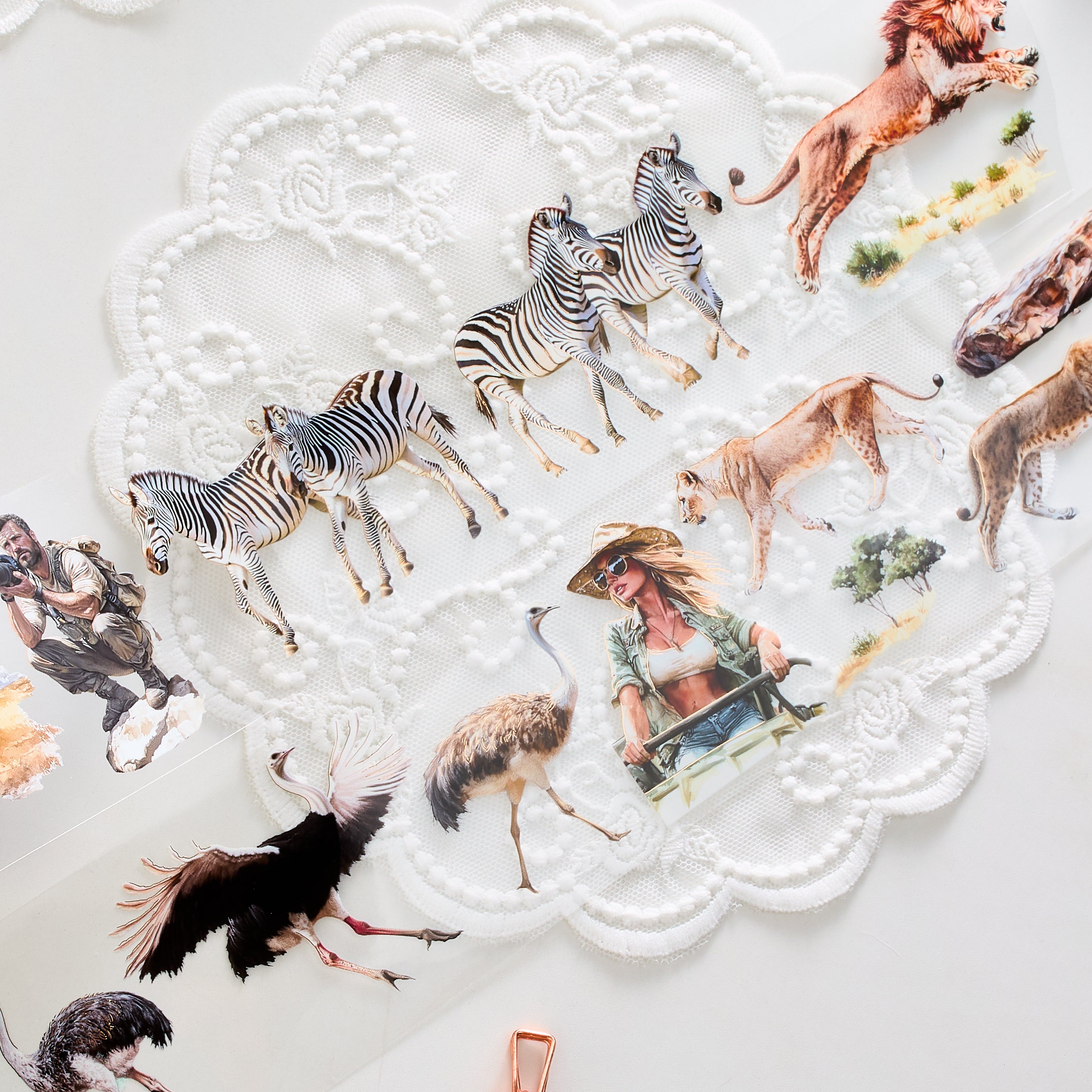 Shiimmer Lion Kingdom PET Tape 6cm x 1m