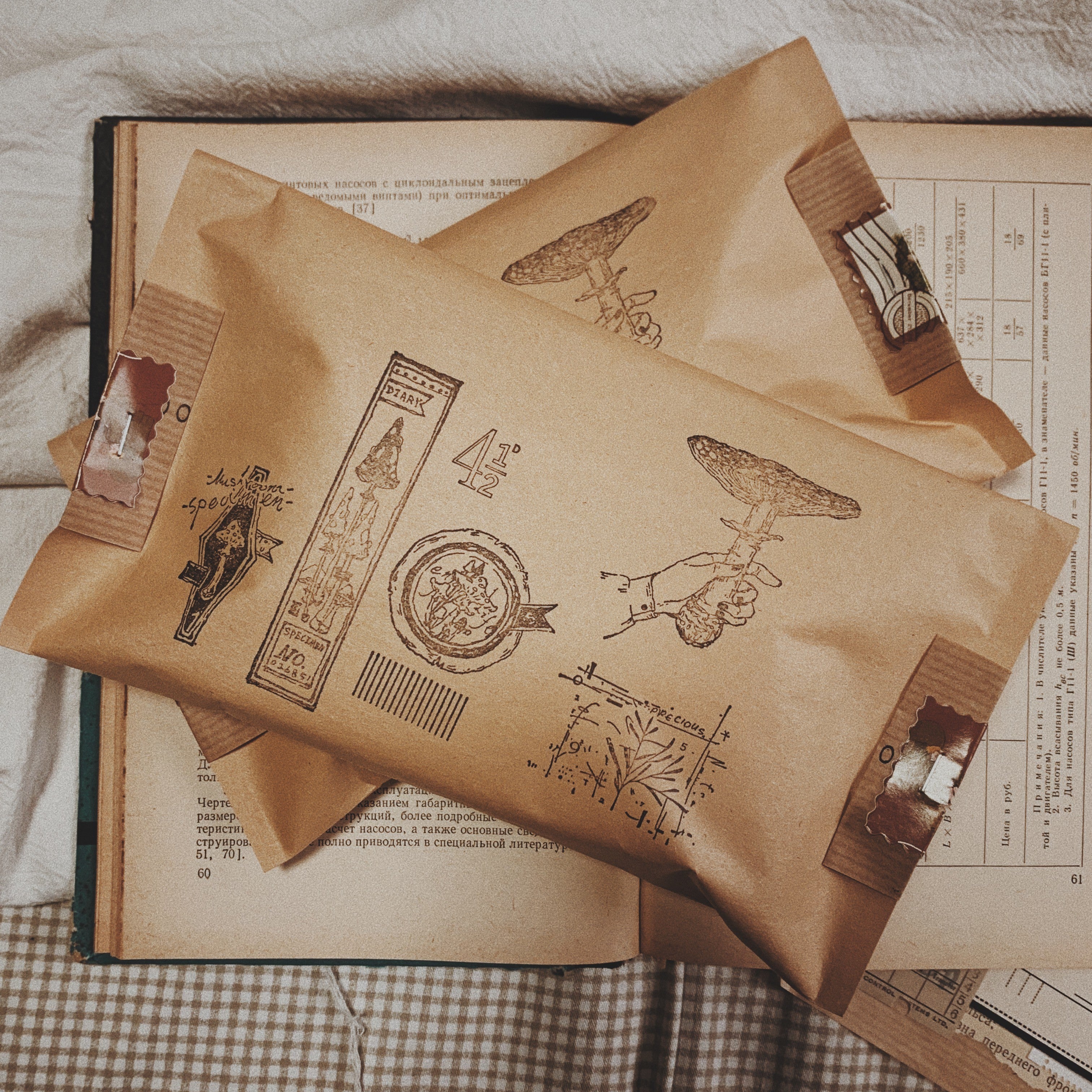 Postal Mirror Handbill with Complex Patterns Vintage Material Pack - ViktaShop
