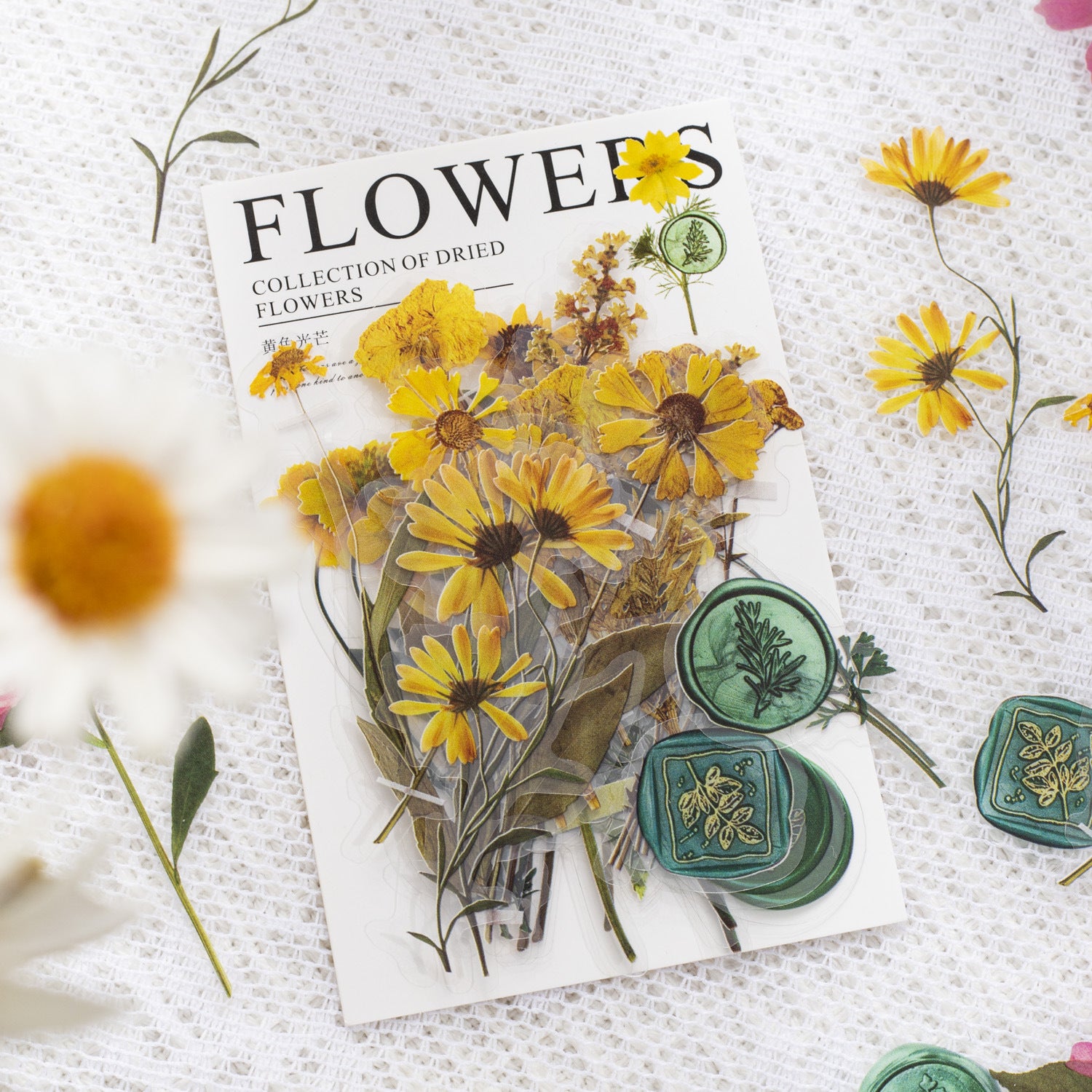 PET Sticker Pack - Dried Flower Collection Series, 40 Sheets - ViktaShop