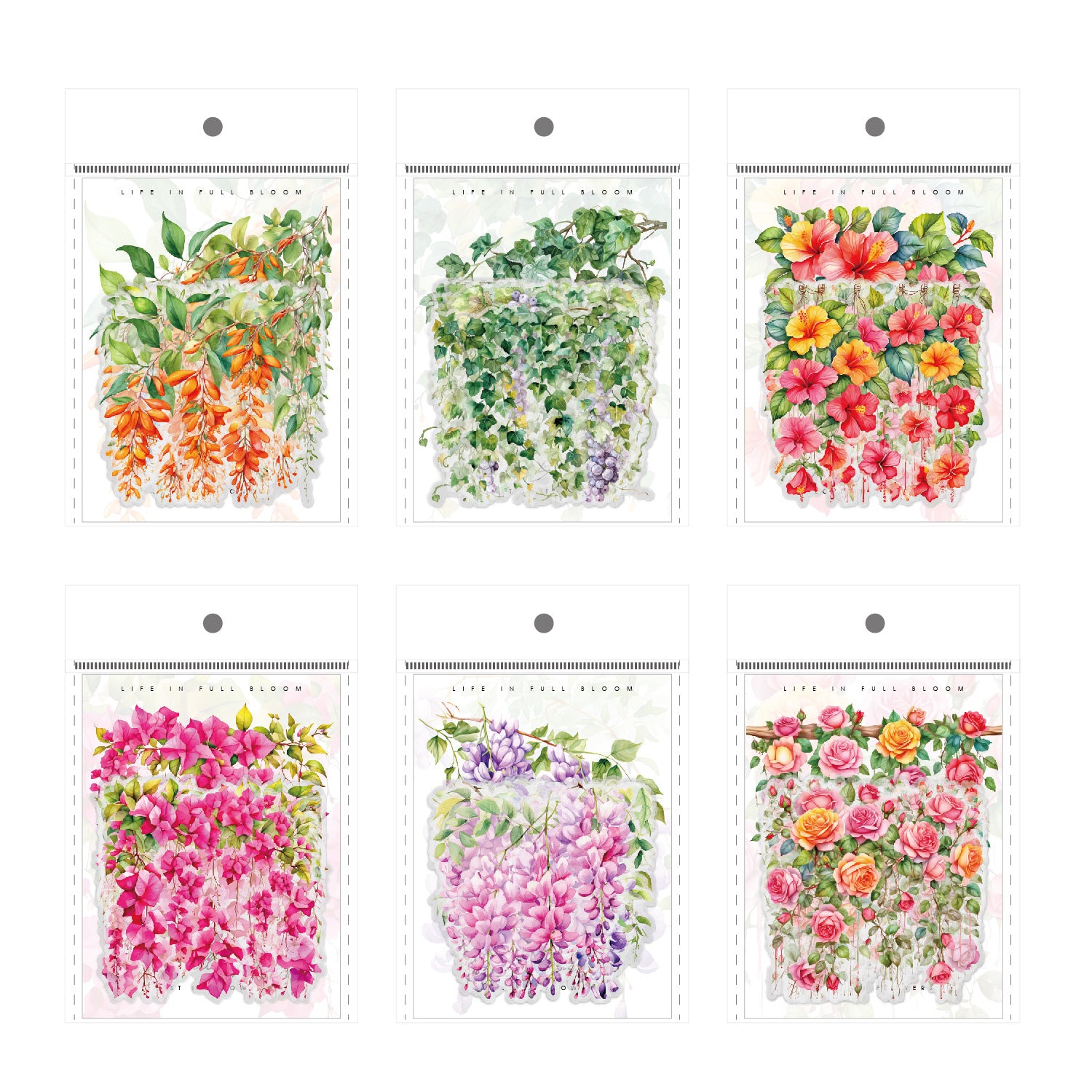 Ancient Forest PET Sticker Pack, Vine Branch & Flower Series, 6 Options - ViktaShop