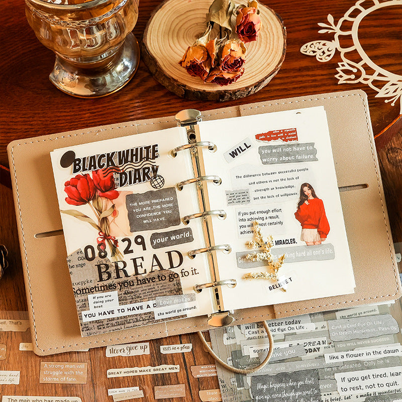 Die-Cut Pet Flat Stickers Retro Old Time Series 6 psc