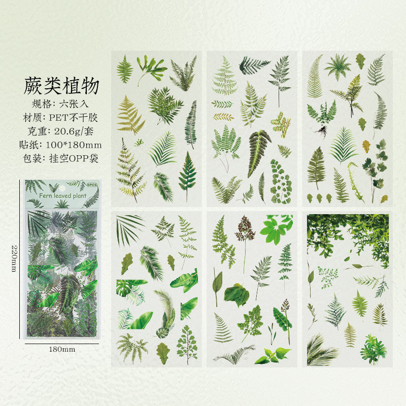 Chihiro Story PET Stickers - Amazon Plants & Flowers