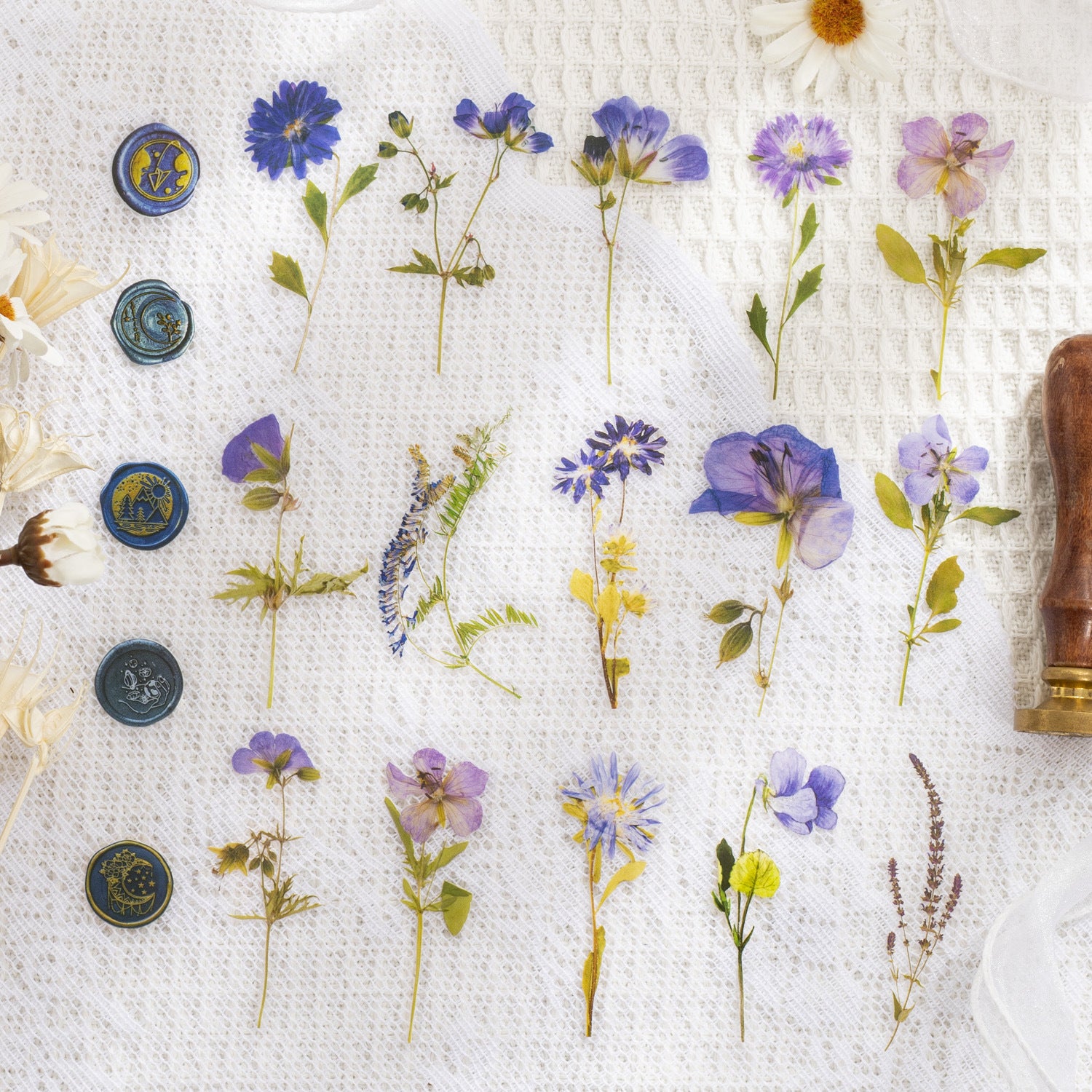 PET Sticker Pack - Dried Flower Collection Series, 40 Sheets - ViktaShop