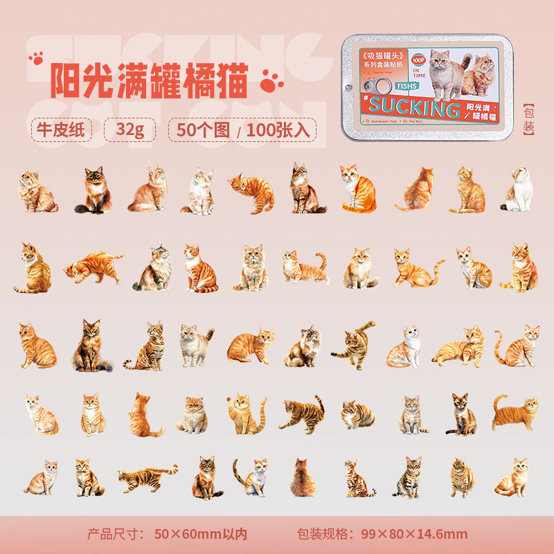 Boxed Stickers – Cat Series, 4 Options - ViktaShop