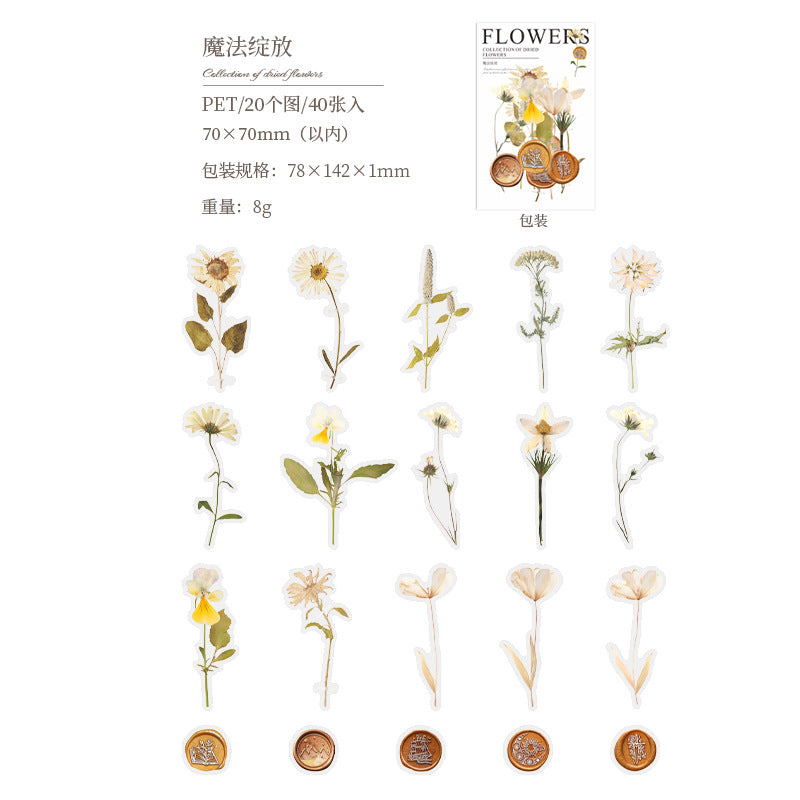 PET Sticker Pack - Dried Flower Collection Series, 40 Sheets - ViktaShop