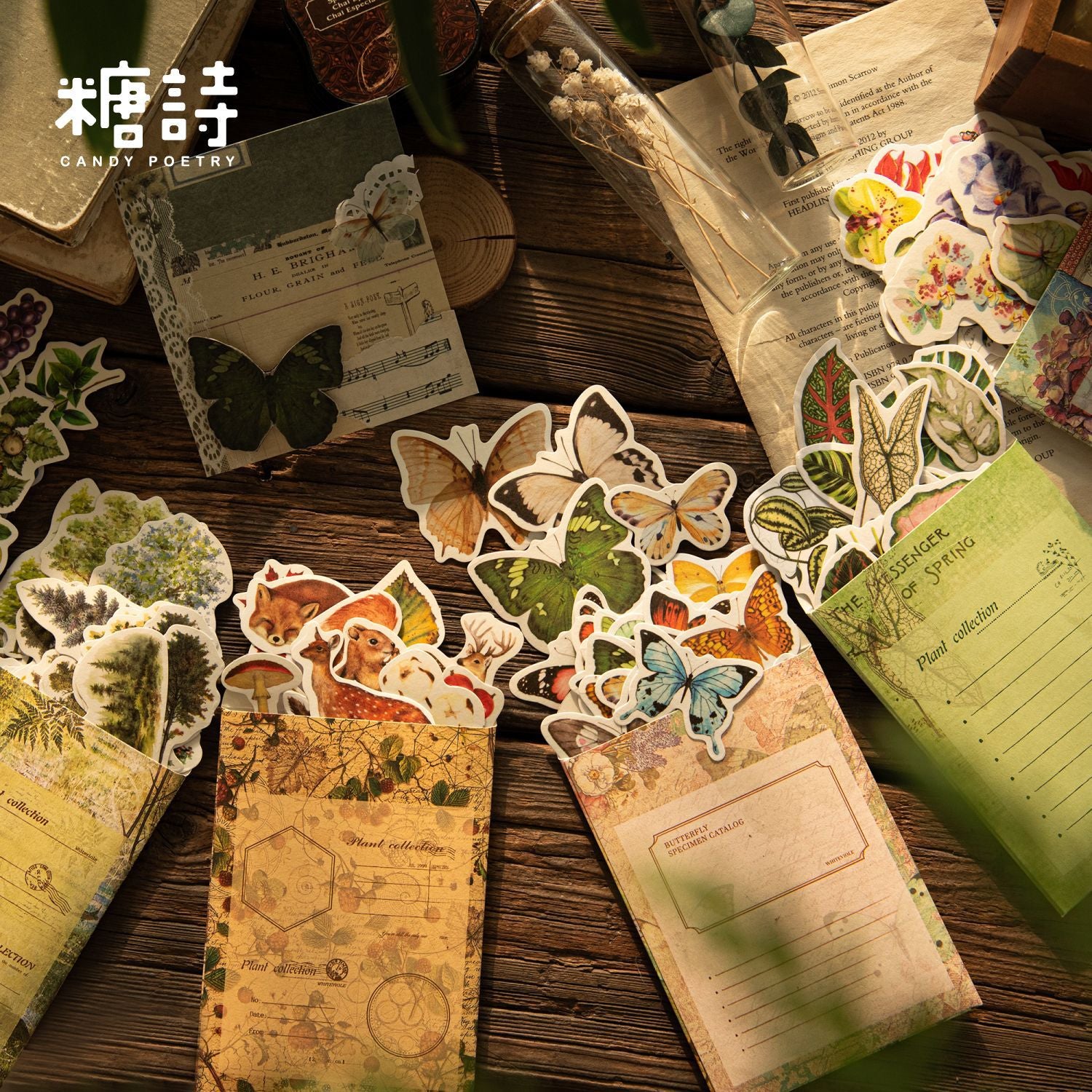 Natural Observation Room Series Retro Washi Stickers 6 Styles 50 Pcs