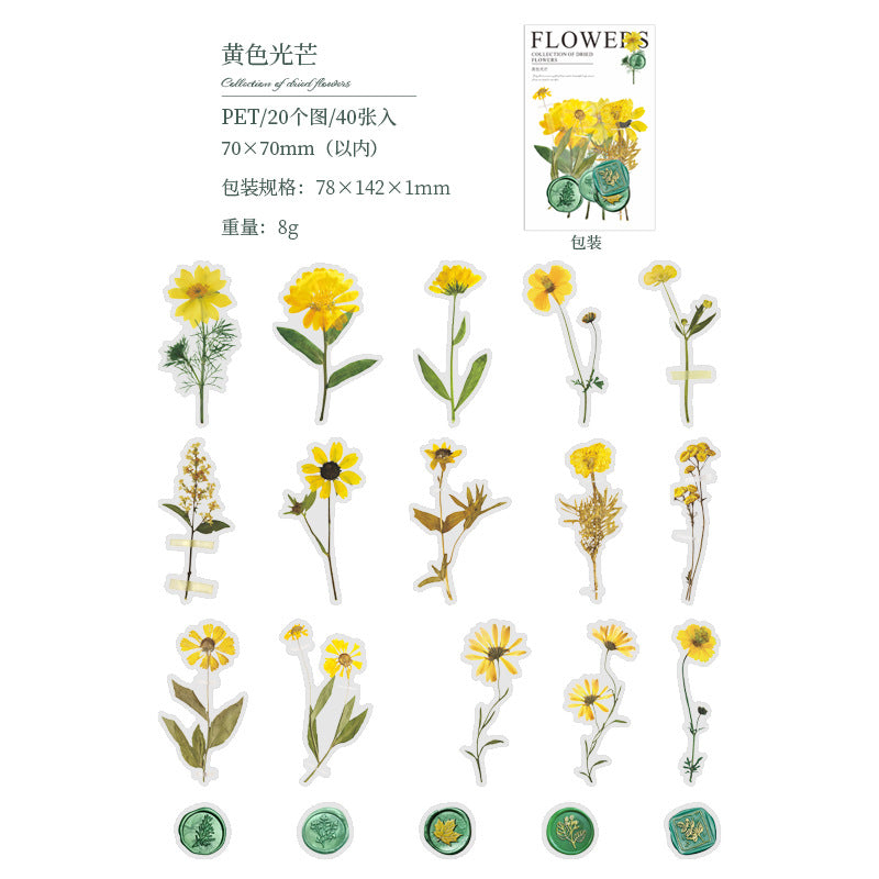 PET Sticker Pack - Dried Flower Collection Series, 40 Sheets - ViktaShop