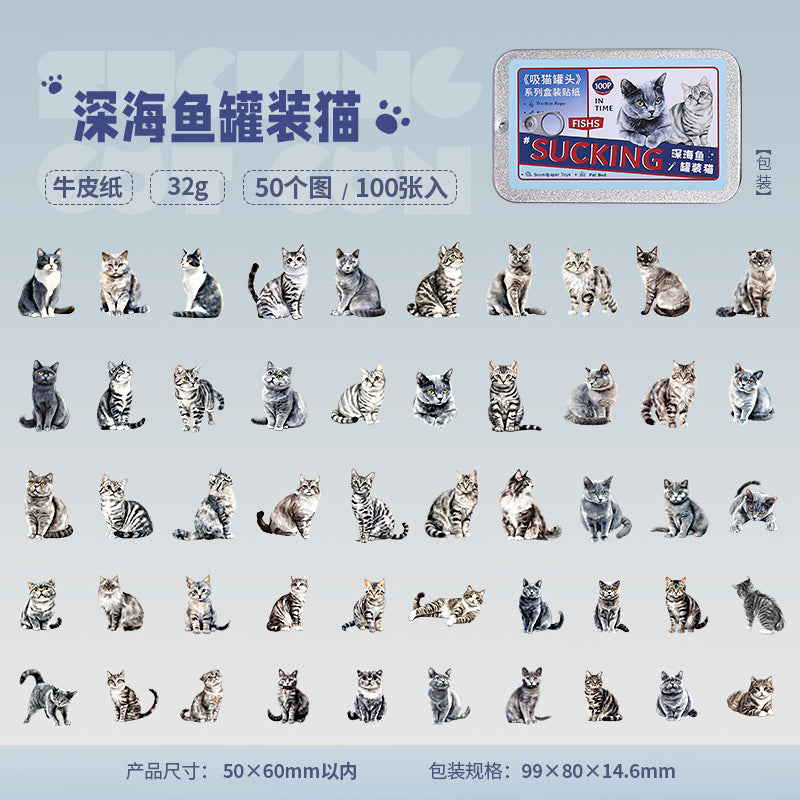 Boxed Stickers – Cat Series, 4 Options - ViktaShop