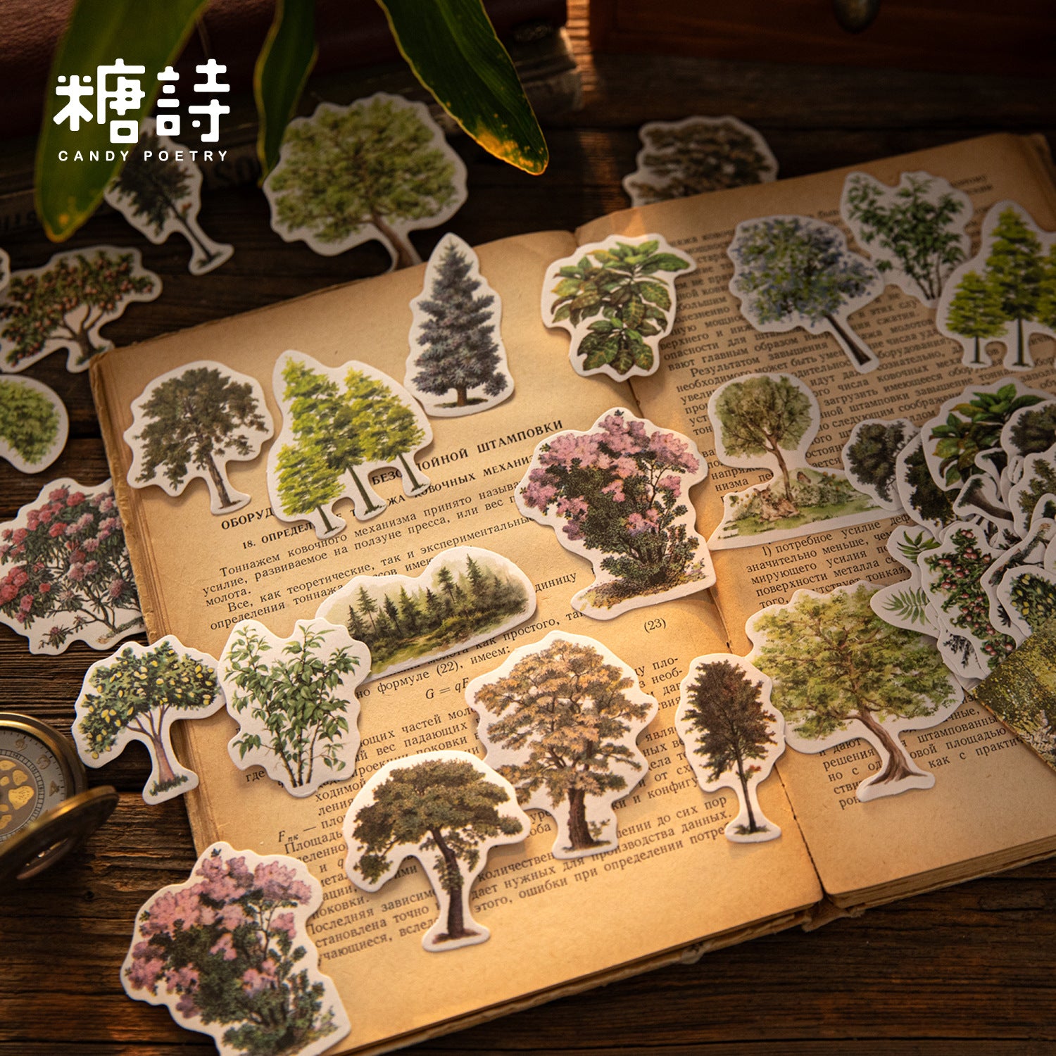 Natural Observation Room Series Retro Washi Stickers 6 Styles 50 Pcs